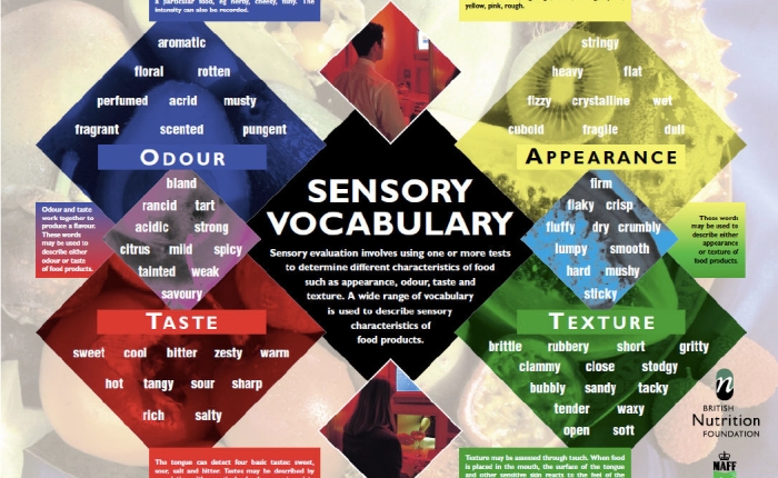 Sensory Vocabulary